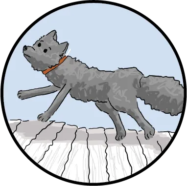An illustration of an arctic fox.