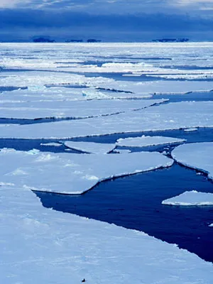 Floating sea ice