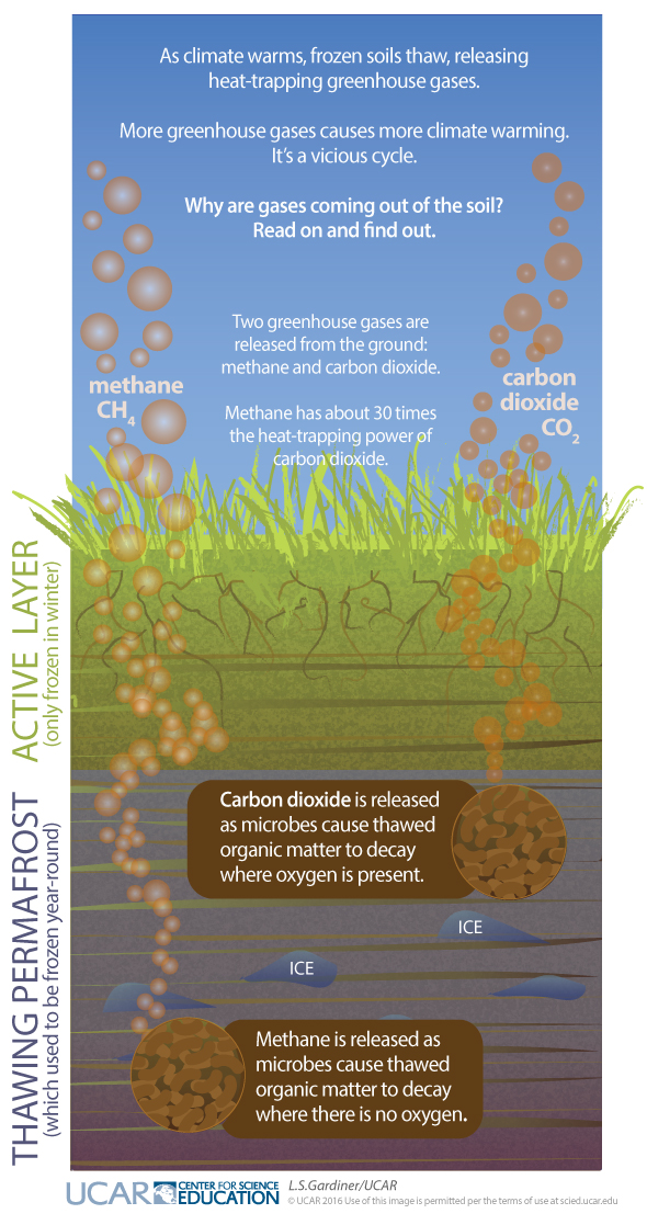 Diagram demonstrating How Thawing Permafrost Soils Release Greenhouse Gases