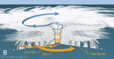 Diagram of how hurricanes form