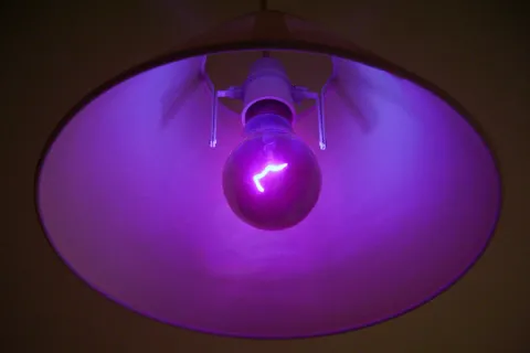 Ultraviolet (UV) Black light bulb